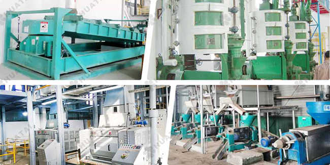 oil press of pretreatment section
