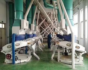 Línea de producción para molienda de maíz