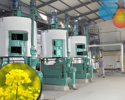 rapeseed oil press machine