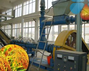 rice bran oil machine product picture
