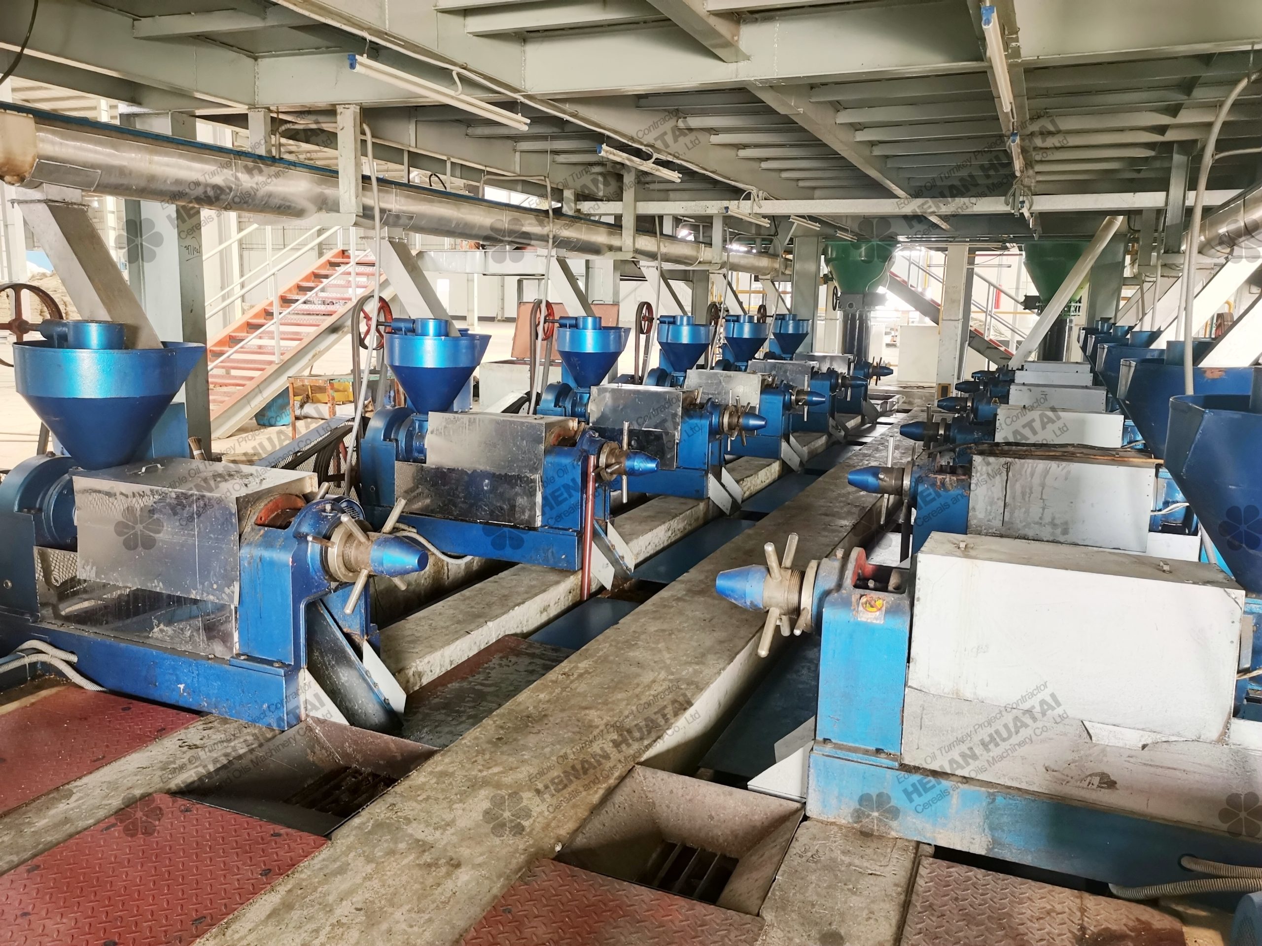 Equipos Aceite Ajonjolí Industrial | Prensado Frío Conserva Aroma | 10-300TPD